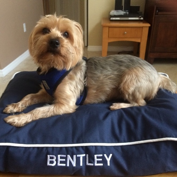 Meet your Posher - Picture 9 of 12